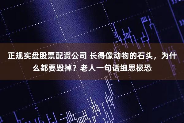正规实盘股票配资公司 长得像动物的石头，为什么都要毁掉？老人一句话细思极恐